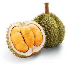 black-thorn-fresh-durian