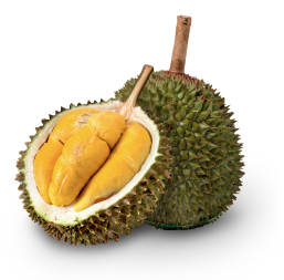 musang-king-fresh-durian